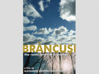 BRaNCUsI - the roots and the branches