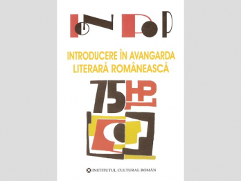 Ion Pop - Introducere in avangarda literara romaneasca, 2007, 304 p